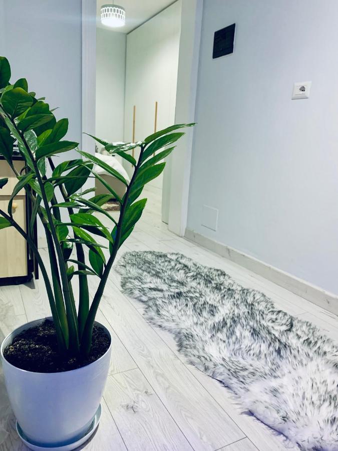 Cozy Corner Apartman Tirana Kültér fotó