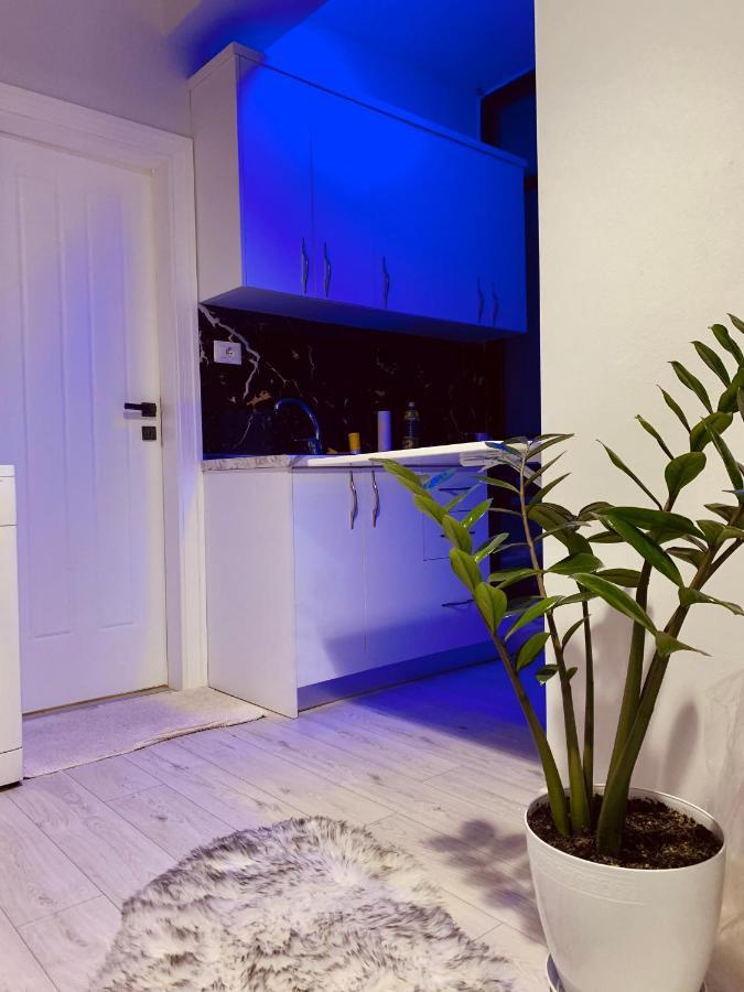 Cozy Corner Apartman Tirana Kültér fotó